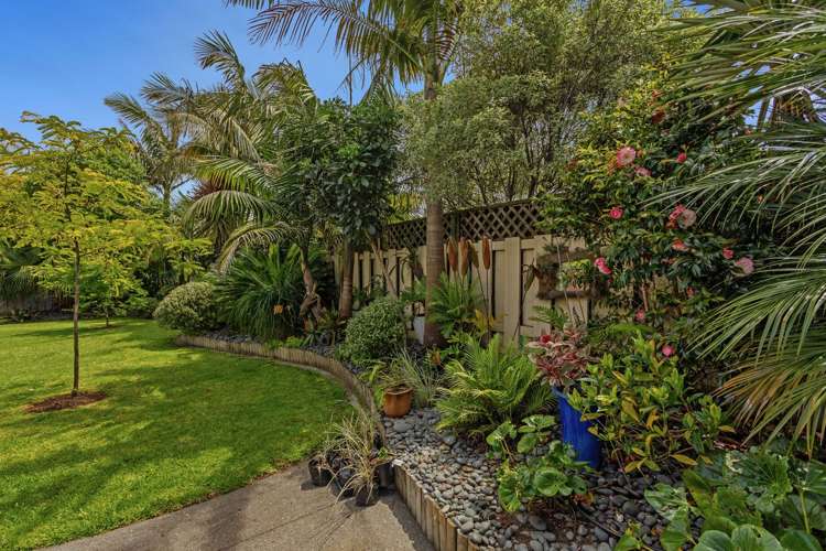 46a Landing Road Whakatane_18