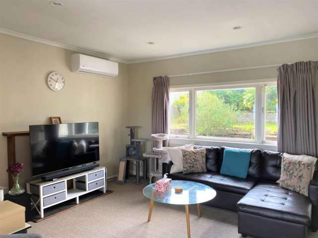 81 Carlton Street Hillsborough_3