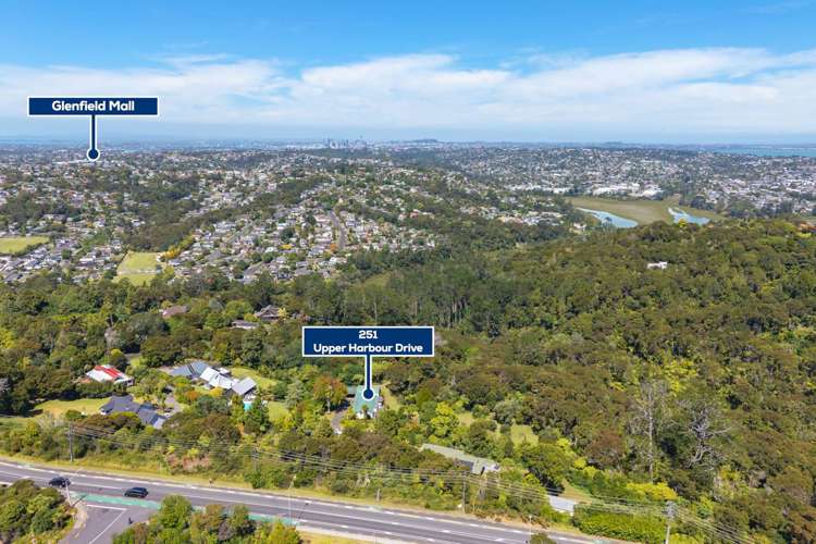 251 Upper Harbour Drive Greenhithe_29