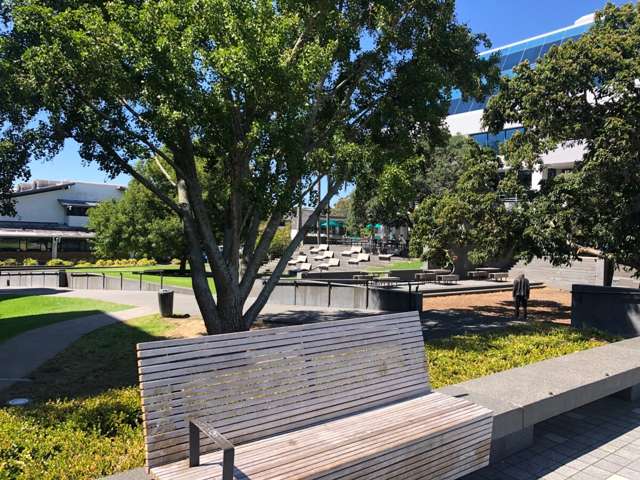 3, 51 Hurstmere Road Takapuna_1