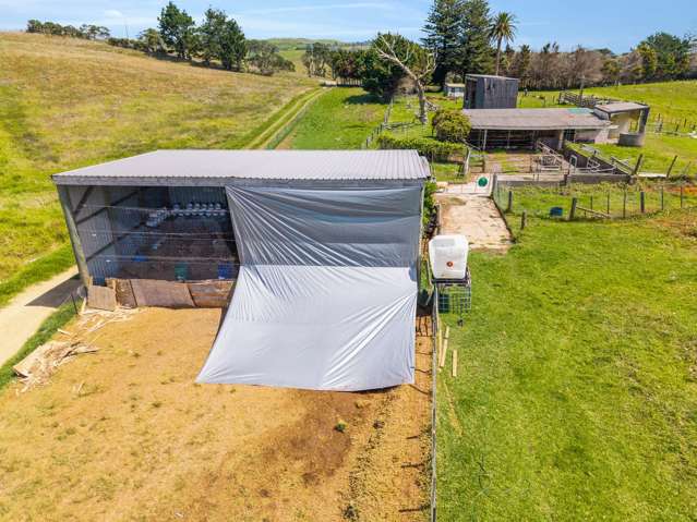172 Manukau Heads Road Awhitu_1