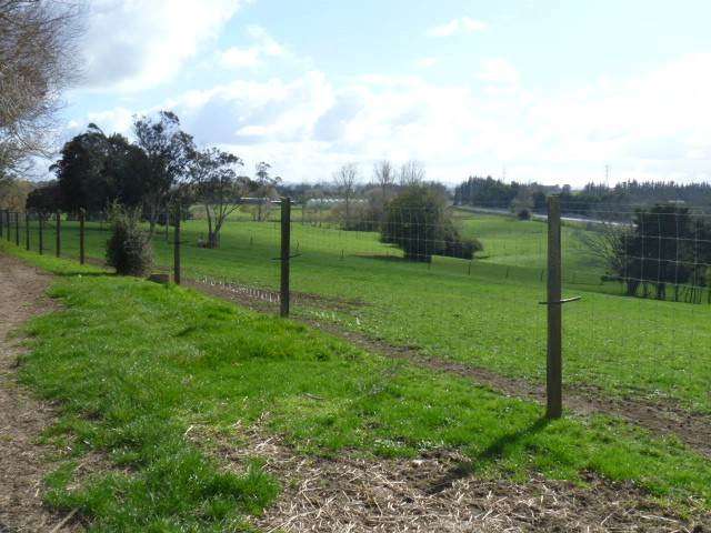 883 Runciman Road Drury_2