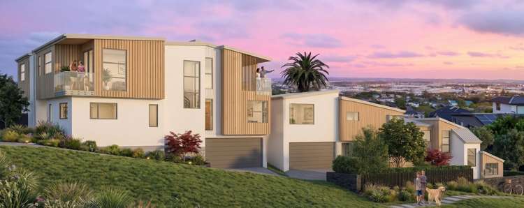 41 Te Kawa Road_1