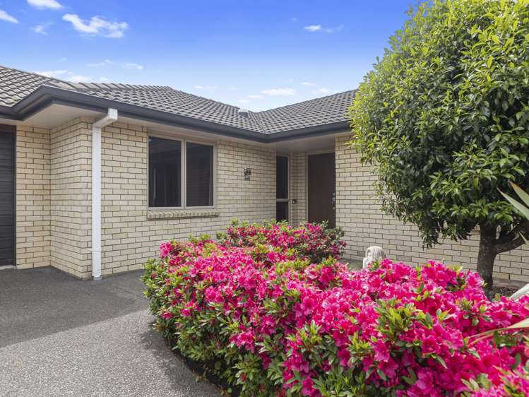 17 Olive Close Omokoroa_24