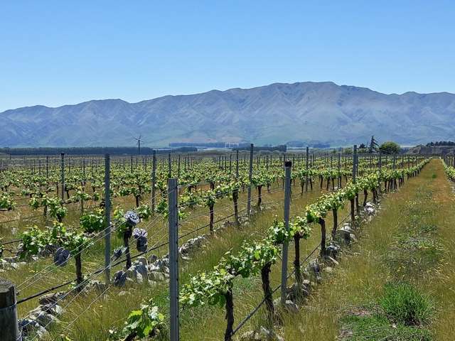 Waitaki Valley Bareland