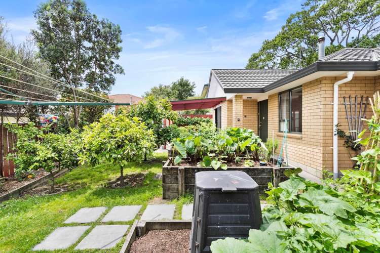 3 Carling Avenue Massey_17