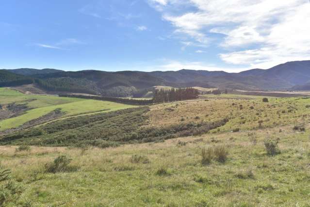 1588 Birch Hill Road Glentui_1