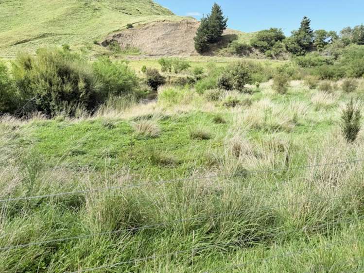 . Tamaki East Road Dannevirke_7