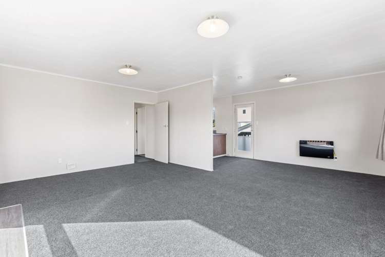 3 Chester Street 11219_13