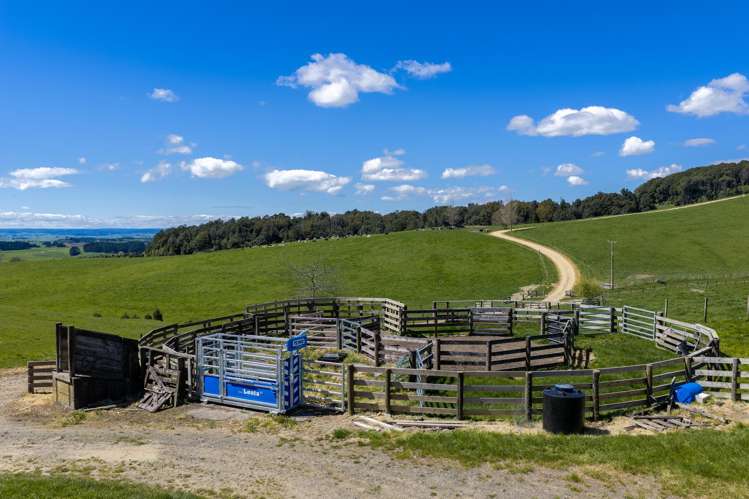 656 Waotu Road South Putāruru_13