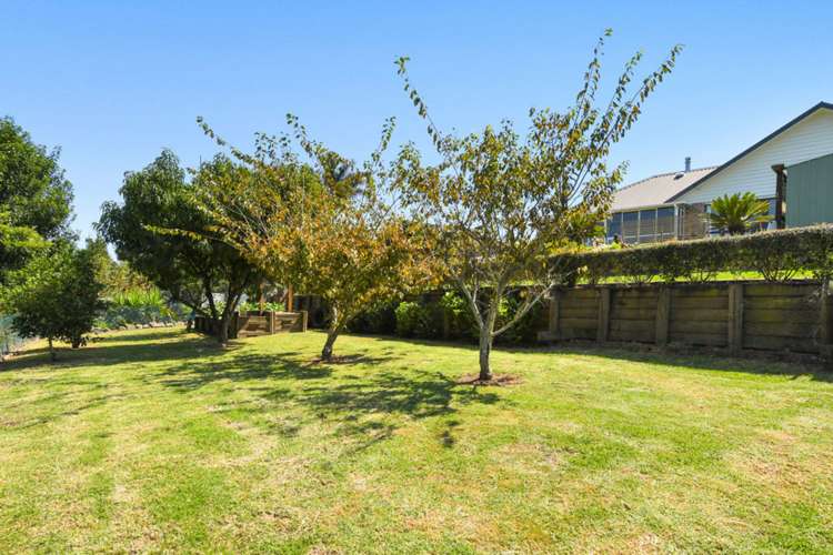 7 Olive Close Omokoroa_12