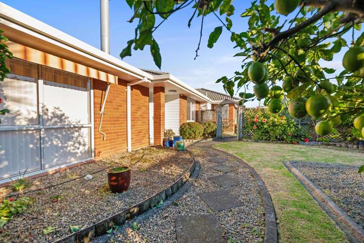 5 Bayfair Drive Mount Maunganui_20