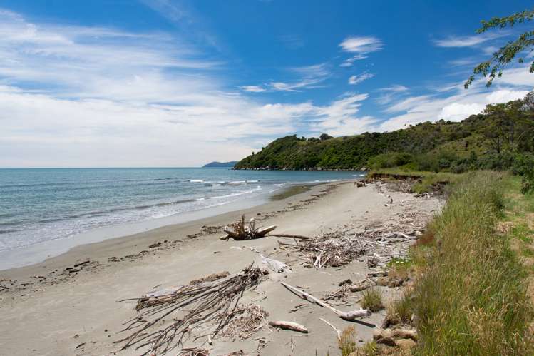 56 Fraser Road Kahurangi National Park_19