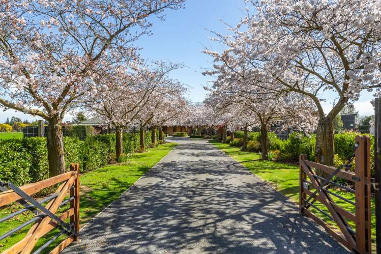 684 Telegraph Road Selwyn_16