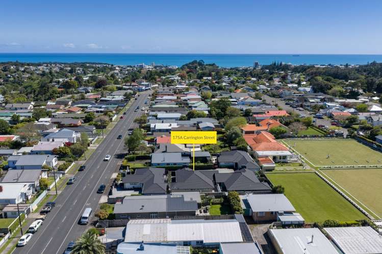 175A Carrington Street Lower Vogeltown_35