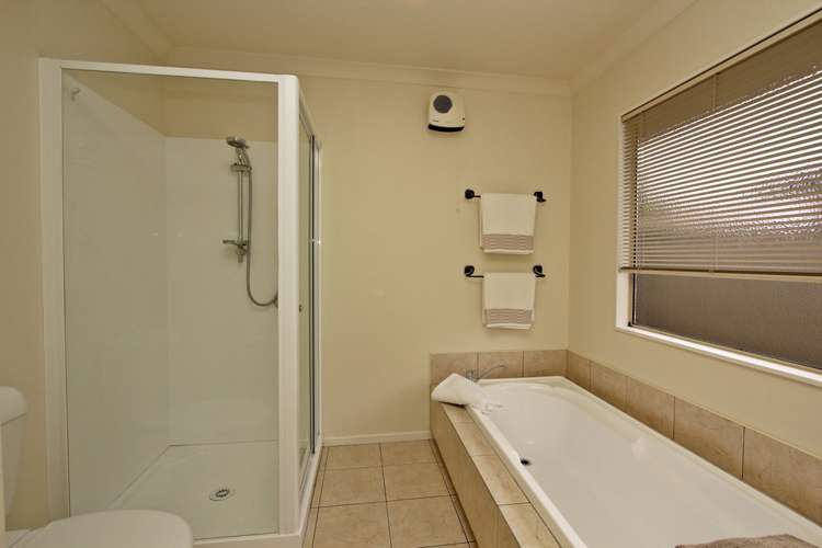 239 Guppy Road Taradale_9