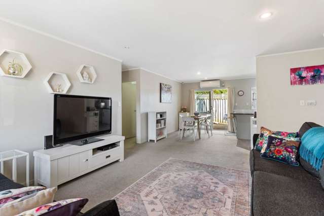 40E Jellicoe Road Panmure_2