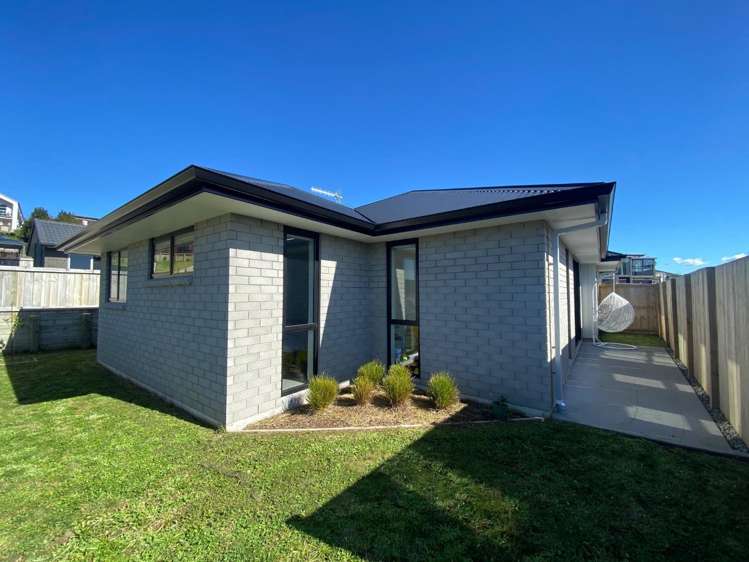 9 Winspear Place Omokoroa_11