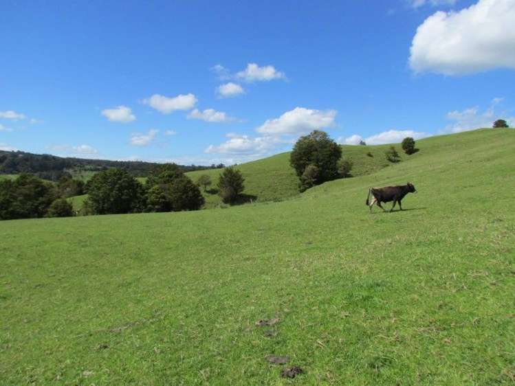 1871 State Highway 14 Mangapai and Surrounds_16