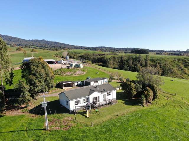 480 O'Shea Road Pirongia_1