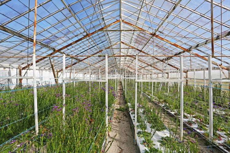 69 Drury Hills Road Drury_10