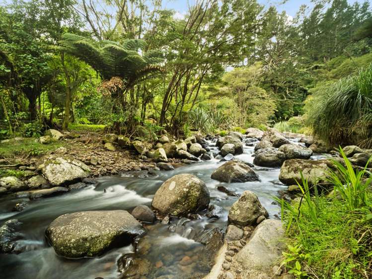 Address withheld Welcome Bay_38