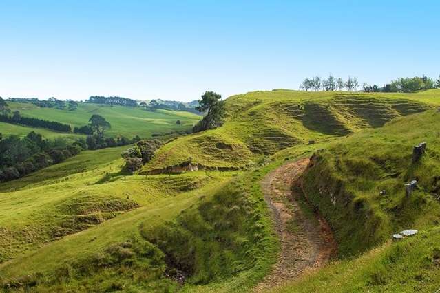 Awhitu Road Waiuku_3