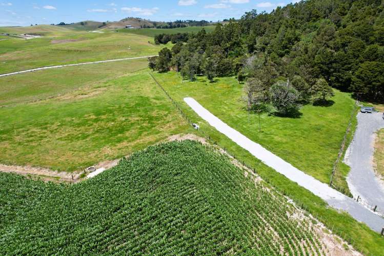 Lot Lot 3 Sills Road Dargaville_19