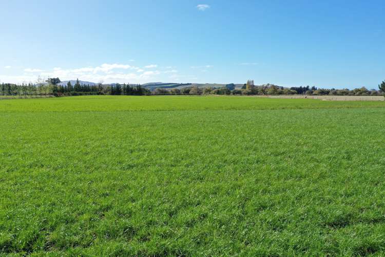 216 Reserve Road Balcairn_6