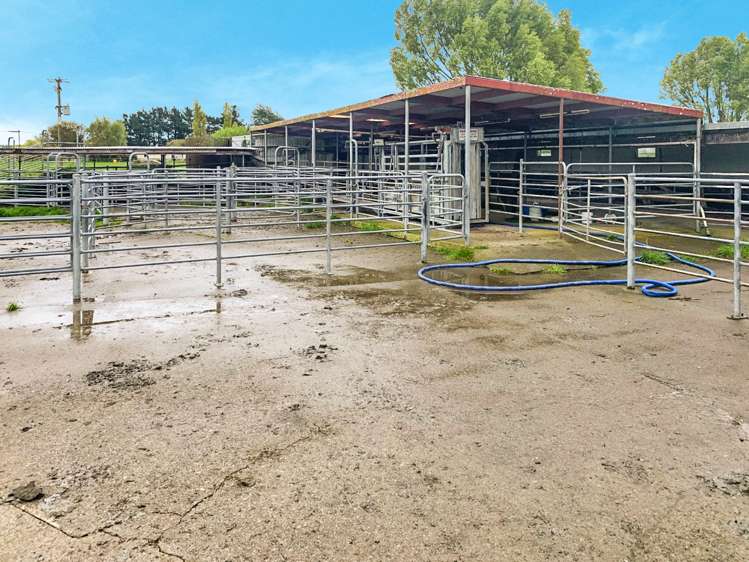 82977 State Highway 2 Pahiatua_3