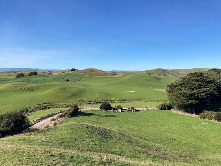 Lot 2 Tararua Road Pahiatua_6