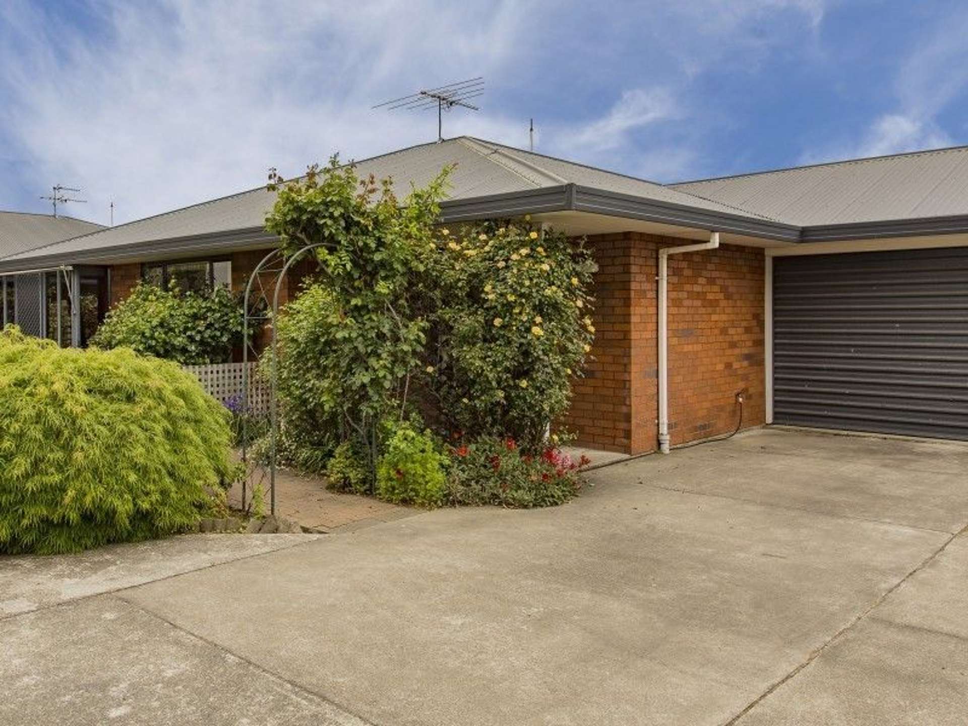 119b Percival Street Rangiora_0