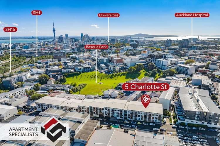 5 Charlotte Street Eden Terrace_13
