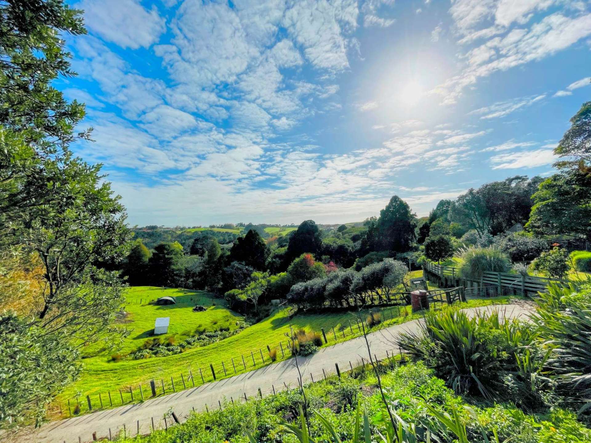 244 Trig Road Whitford_0