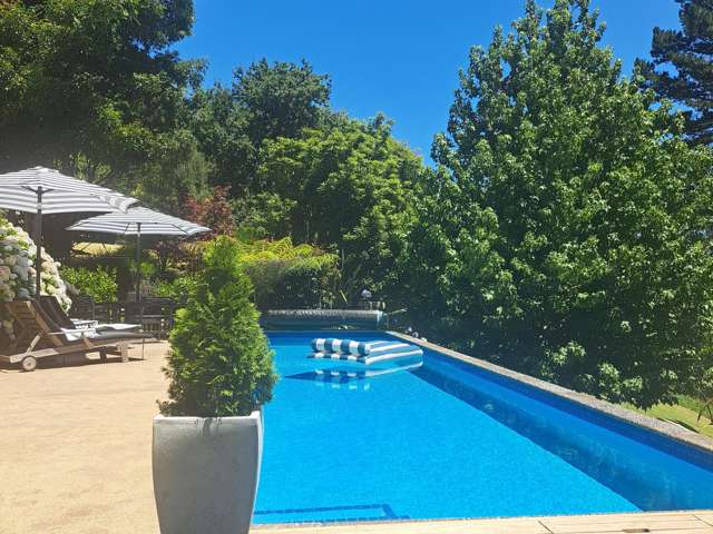 18 Ara-Kotinga Whitford_2