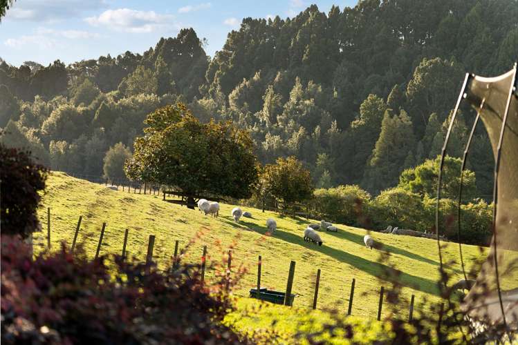 2002 Hunua Road Hunua_24