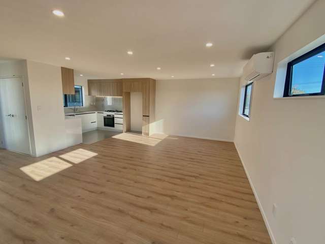 2/50 Astley Avenue New Lynn_1