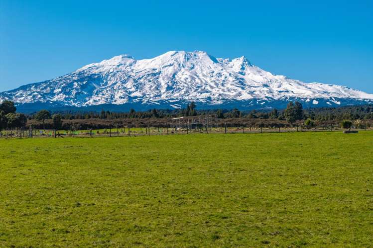 Lot 11 Matapuna Road Horopito_8