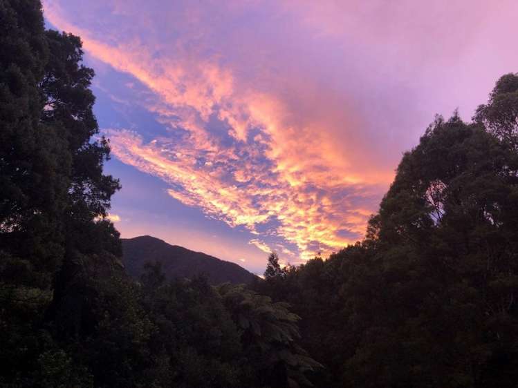 236 Anatoki Track Road Takaka_24