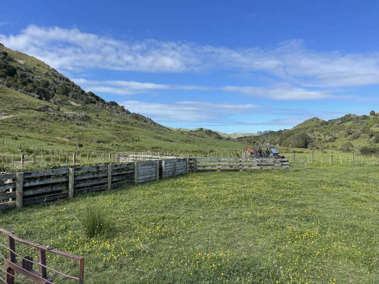 851 Awamate Road Frasertown_18