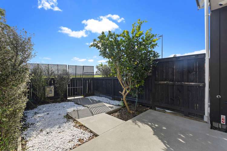 67 Walsh Road_5