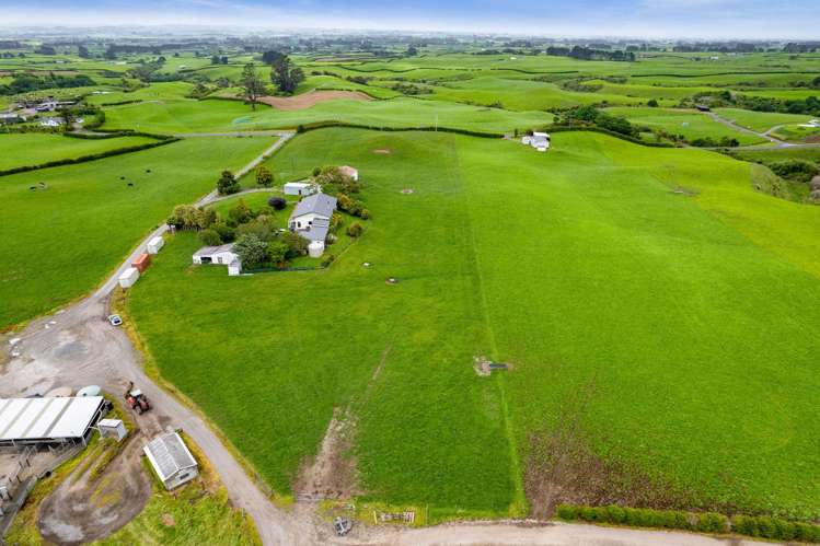 358 Opunake Road Cardiff_5