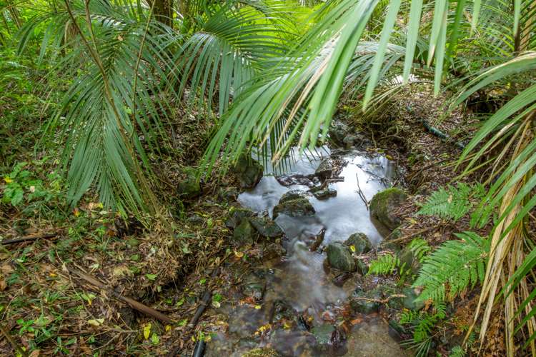 23b Kakariki Grove Waikanae_14