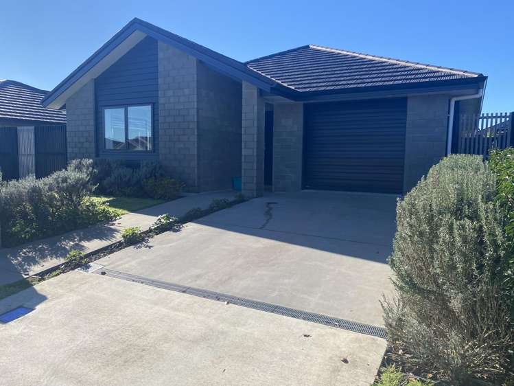 36 Lockerbie Street Morrinsville_11
