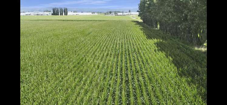 434-454 Awakeri Road Edgecumbe_13