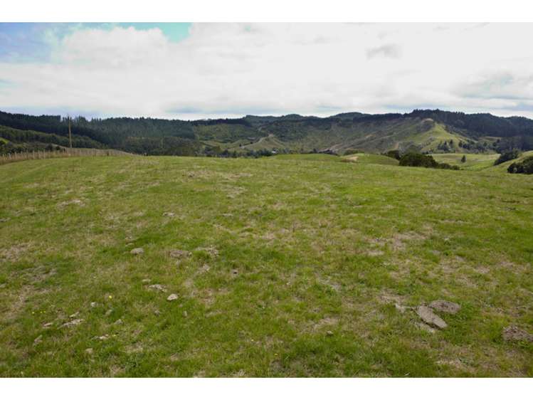 47 Haul Road Tahekeroa_12