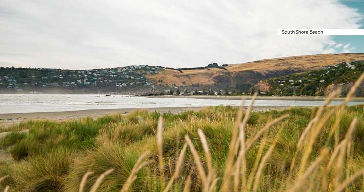 205 Rocking Horse Road Southshore_22