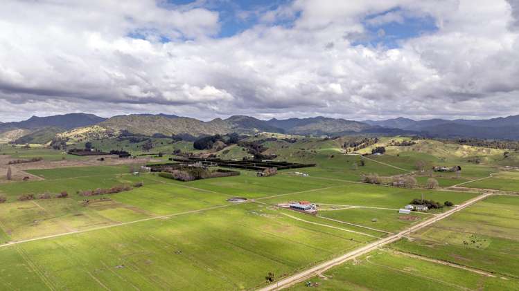 Queens Farm, 16 McGinley Road Opotiki_1