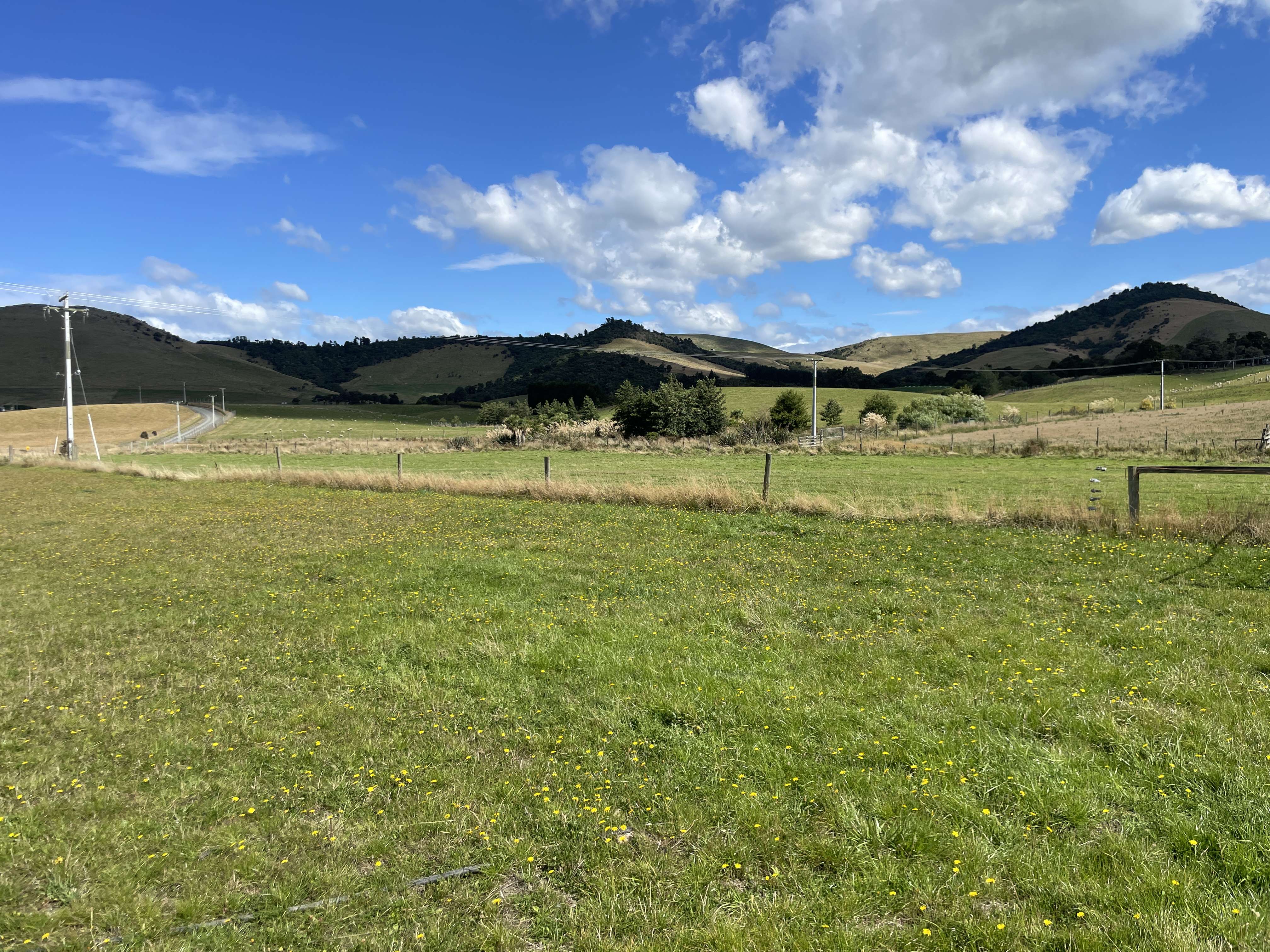 19581970 Owaka Highway Ahuriri Flat Clutha Rural Property For