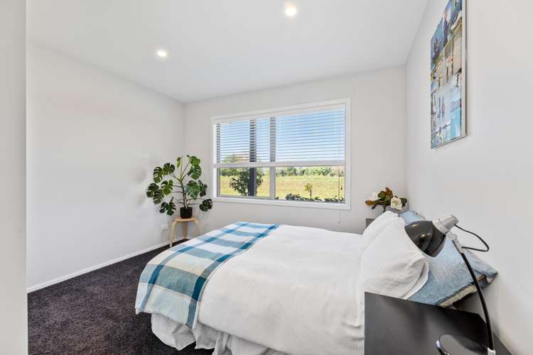 56 Purkiss Street Springlands_17